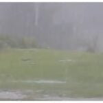 Rain Today