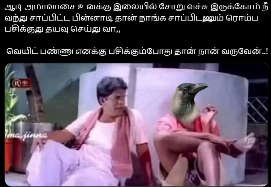 update kumaru memes and trolls july 24