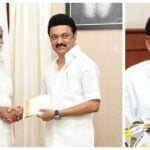 IPS DMK