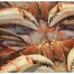 Sea Food Trump Tax