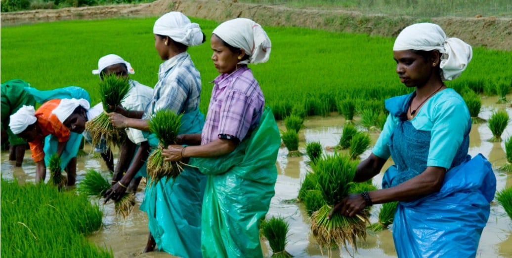 An overview of Indian rural economy