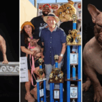 world ugliest dog won 4 lakh prize