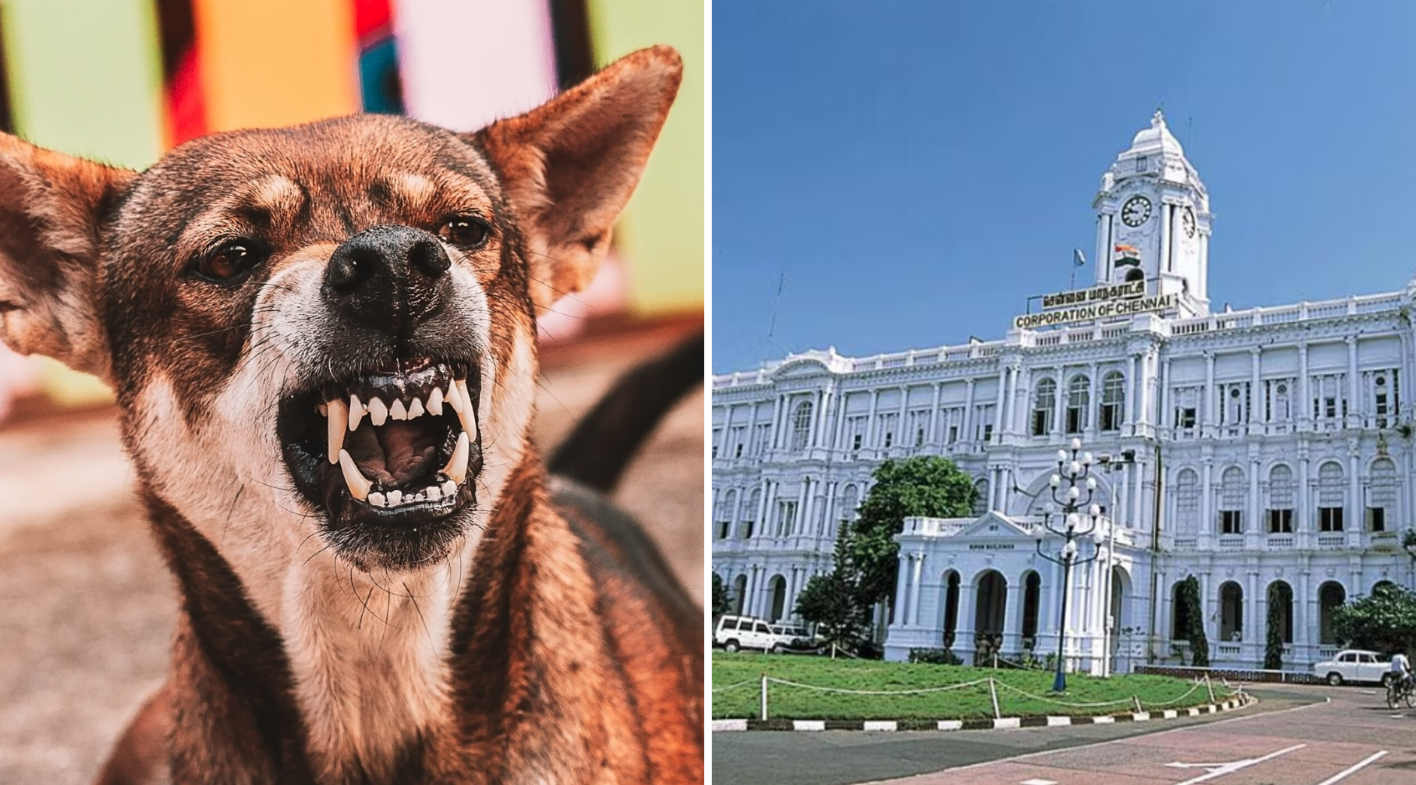 chennai corporation warnings to dogs owners