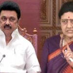 i will not allow dmk form govt again - sasikala