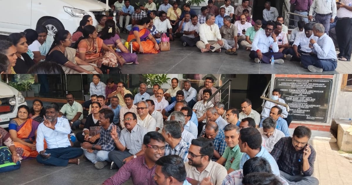 Professors protest at the Agricultural University