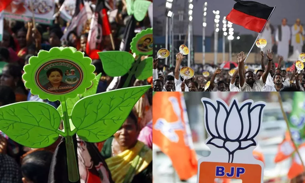 Who is Vijays politics for ?