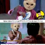 update kumaru memes and trolls oct 6