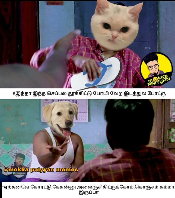 update kumaru memes and trolls oct 6