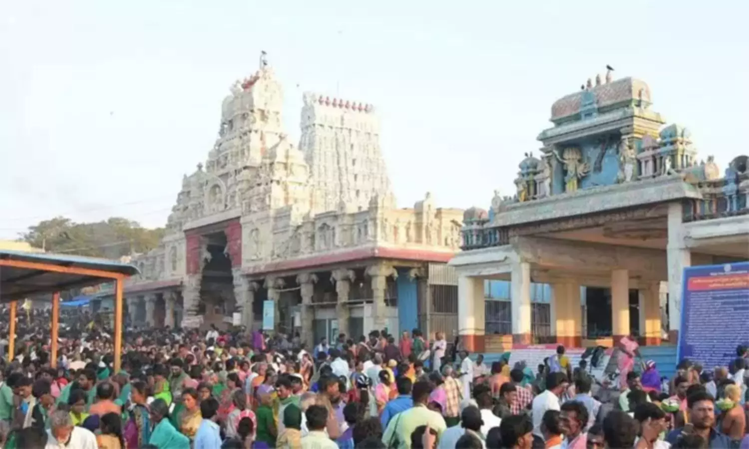 madurai hc question vip dharshan in tiruchendur
