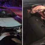 four died in kovai car accident