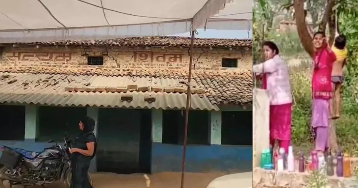 Teachers hang student from tree