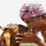 Ondimuniyum Nallapaadanum Movie