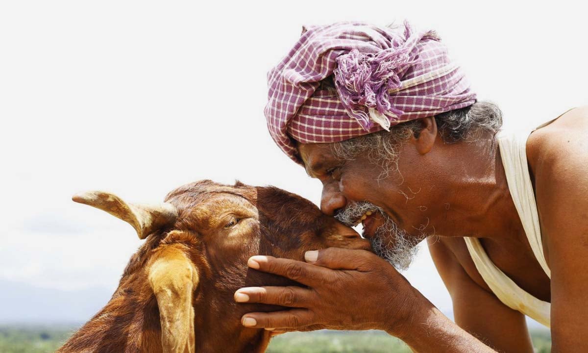 Ondimuniyum Nallapaadanum Movie