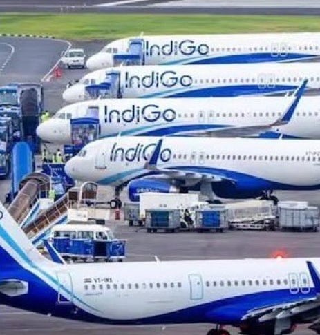 indigo flights