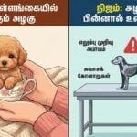 tea cup puppies trend india health risks ethical concerns pet parents guide tamil