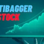 earnings have multiplied 46 times in 5 years with this multibagger stock