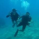 tn govt vetri nichyam scuba diving course chennai apply online deadline