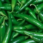 simple ways to preserve green chillies fresh for up to 20 days