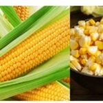 sweet corn Nutrients and the benefits health tips