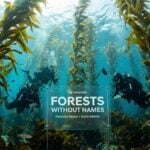 hyundai forests without names campaign earth month 2026 underwater sea forests tamil article
