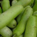 Weight loss to gut Health benefits of eating Bottle gourd