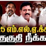 AIADMK Vijay VCK Ravikumar MP