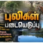 Kodaikanal Berijam Tigers