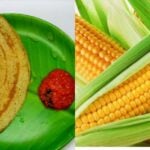 Delicious and nutritious corn dosa recipe and its health benefits