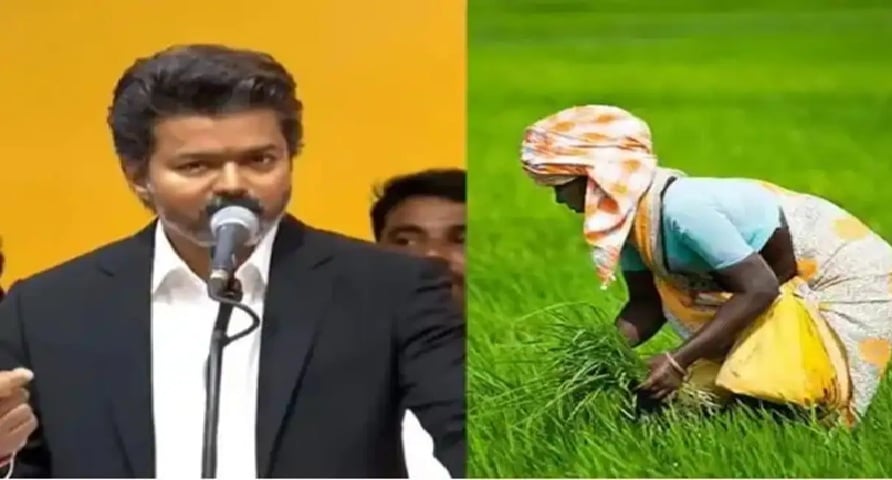 பயிர்க்கடன் தள்ளுபடி - முதல்வர் விஜய் உத்தரவு - யார் யாருக்கு எவ்வளவு? Crop loan waiver Chief Minister Vijay order