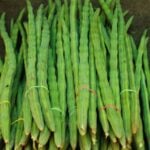 Drumstick nutrients and health benefits Hydration To Weight control