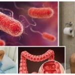 Kerala battles Shigella surge: 4 deaths reported