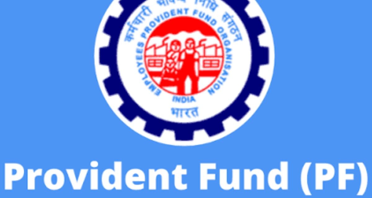 when the member and employer interfaces will open in epfo