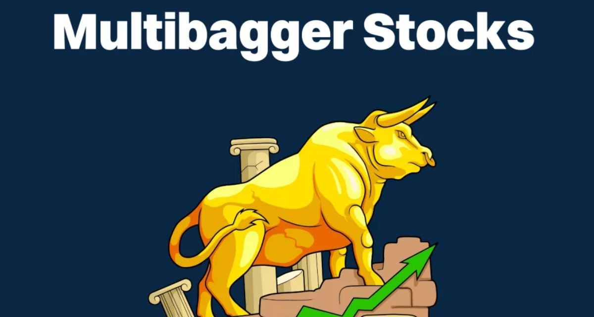Multibagger Stock: முதலீட்டாளர்களுக்கு பல மடங்கு லாபம் தந்த மல்டிபேக்கர் பங்கு!