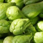 Chayote Chow Chow nutrients and its health benefits weight loss