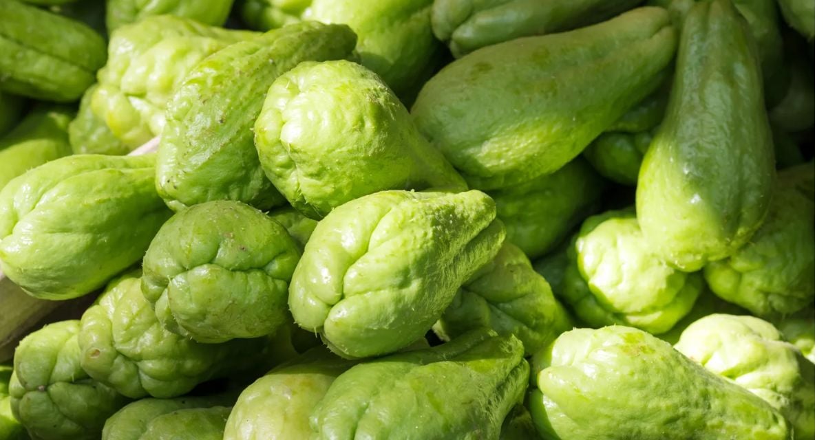 Chayote Chow Chow nutrients and its health benefits weight loss