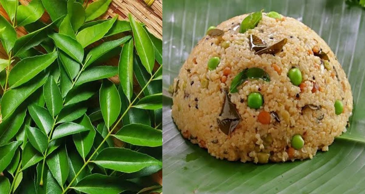Curry Leaf Upma