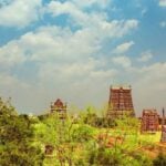 tn hrce temple non hereditary trustee recruitment 2026 apply now details