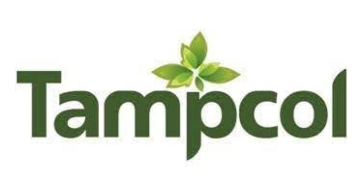 TAMPCOL-ல் 10 பணியிடங்களுக்கு வேலைவாய்ப்பு! ஐடி அசிஸ்டெண்ட் முதல் புரோகிராம் மேனேஜர் வரை