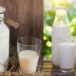 Milk