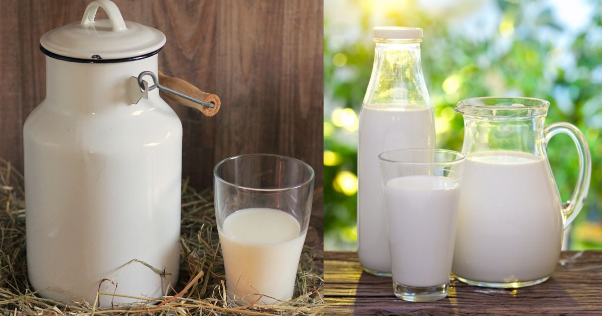 Milk