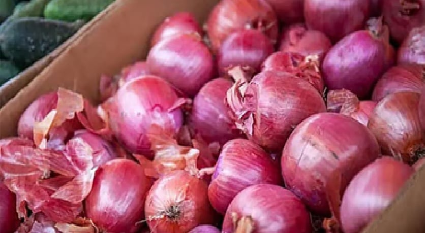 Onion Procurement Price 2125