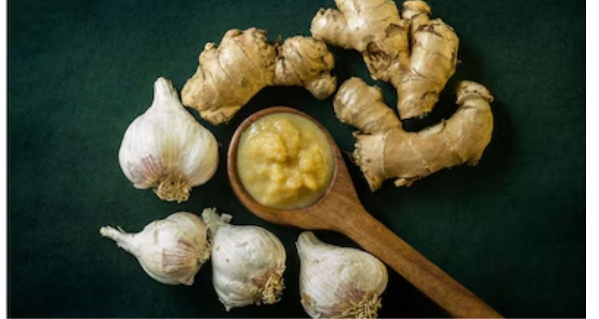 Tips for storing ginger garlic paste fresh for a long time