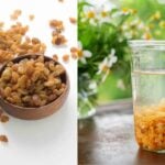 health benefits of eating raisins hemoglobin bone health and digestive