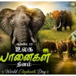 Elephants in Crisis: Captive Forests, Broken Majesty, and Weeping Giants World Elephants Day