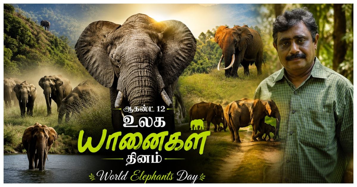 Elephants in Crisis: Captive Forests, Broken Majesty, and Weeping Giants World Elephants Day