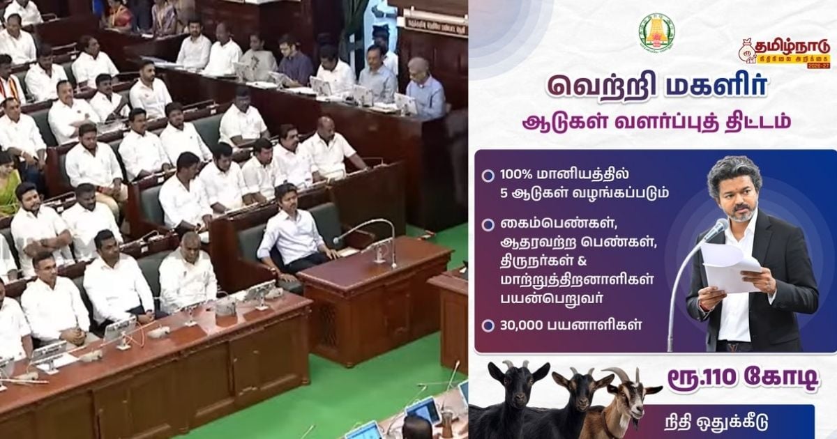 100 மானியத்தில் ஆடுகள் tn -budget 2026 vetri maagalir free goat