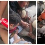 Rahul Gandhi-Delhi-Arrest