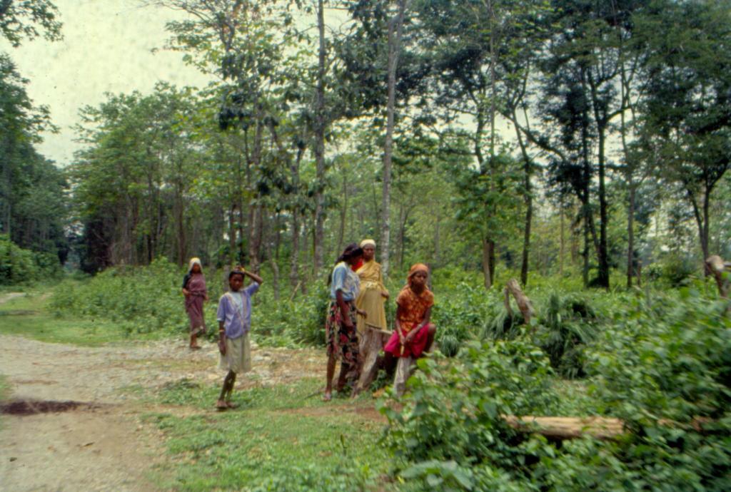 When will the plight of tribal farmers be alleviated?