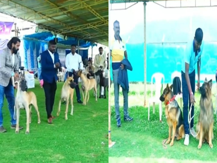 dogs exhibition in ooty starts today may 12 2023