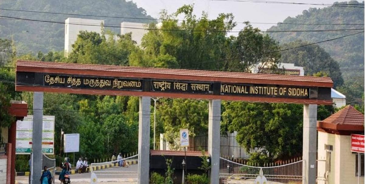 NIS Chennai Recruitment 2024